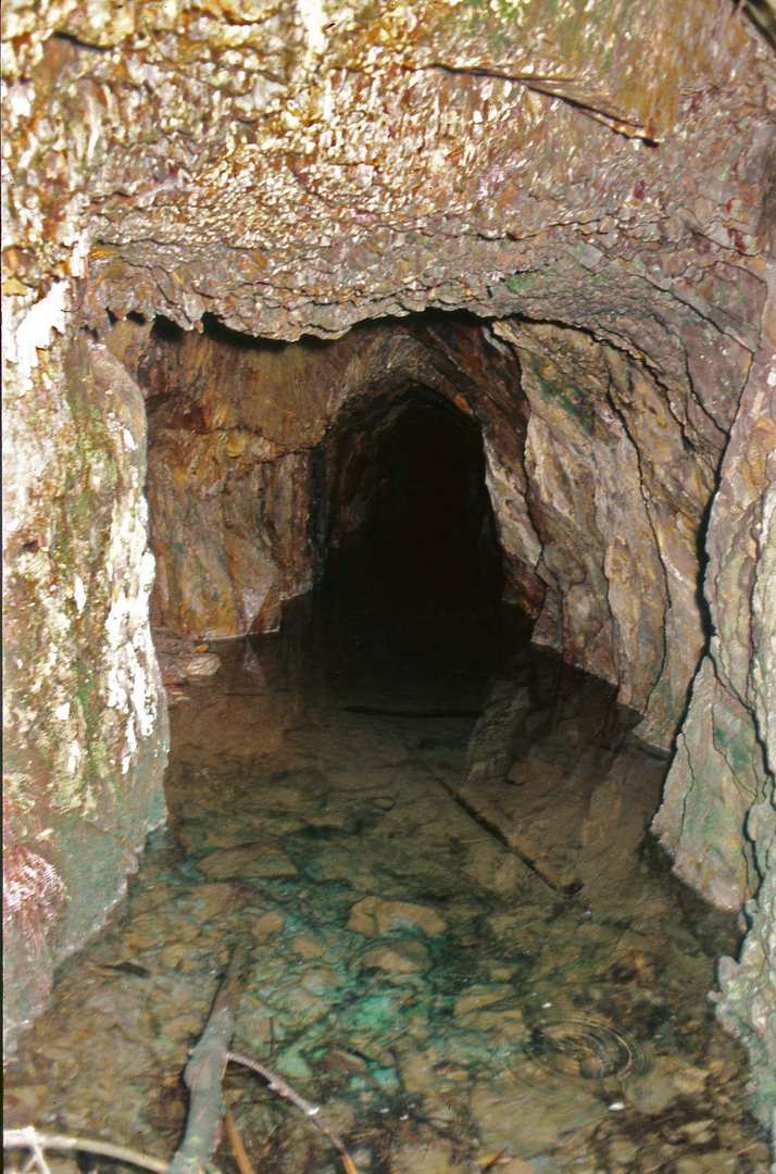 Lefel Newydd Sept 1986